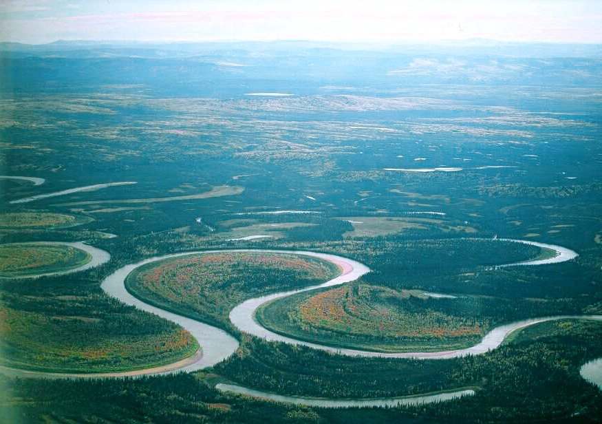 Meanders and oxbow lakes along the Nowitna River, Alaska © Oliver Kurmis, Wikipedia (CCL)