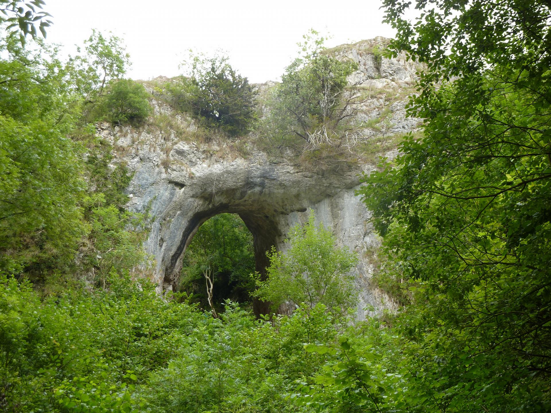 Reynards cave