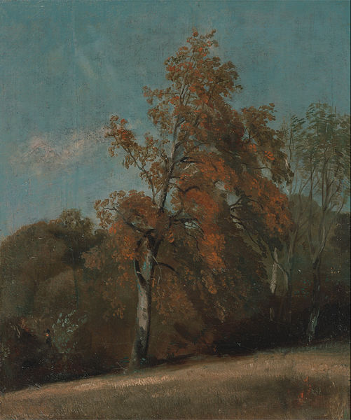 John Constable's Study of an Ash Tree (c.1801) © Wikimedia Commons