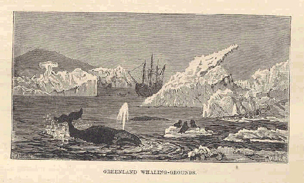 Greenland whaling grounds by Frederick Whymper 1883